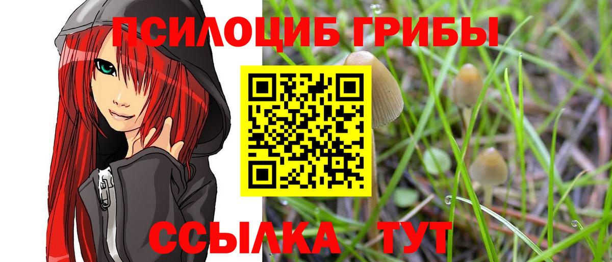 Галлюциногенные грибы прущие грибы  Вход с VPN  Киров 