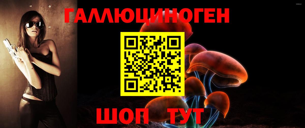 Псилоцибиновые грибы Cubensis Киров