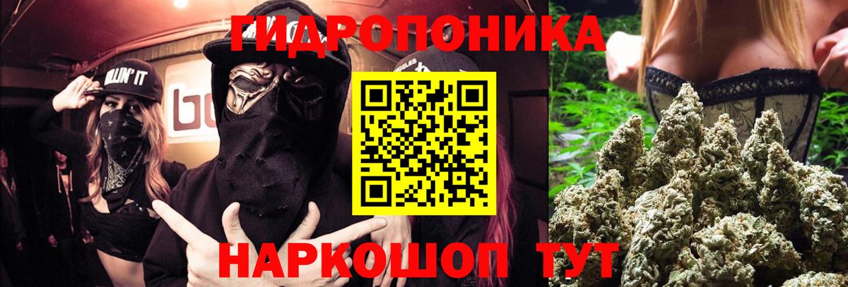 Киров  Марихуана OG Kush  Каннабис SATIVA & INDICA  Шишки марихуана индика  Вход с VPN 